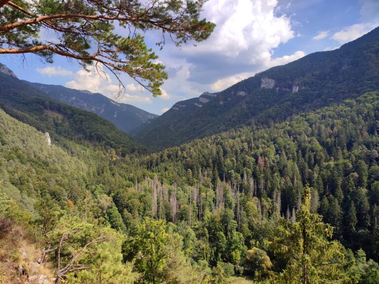 Národný park Veľká Fatra