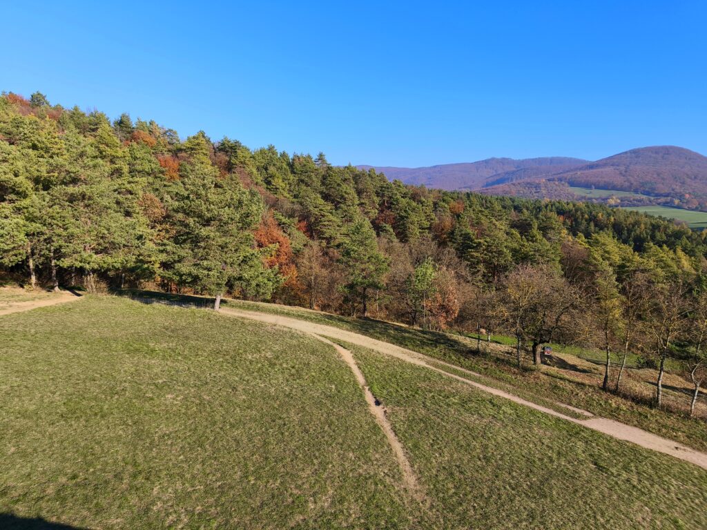 Rozhľadňa Dúbravka