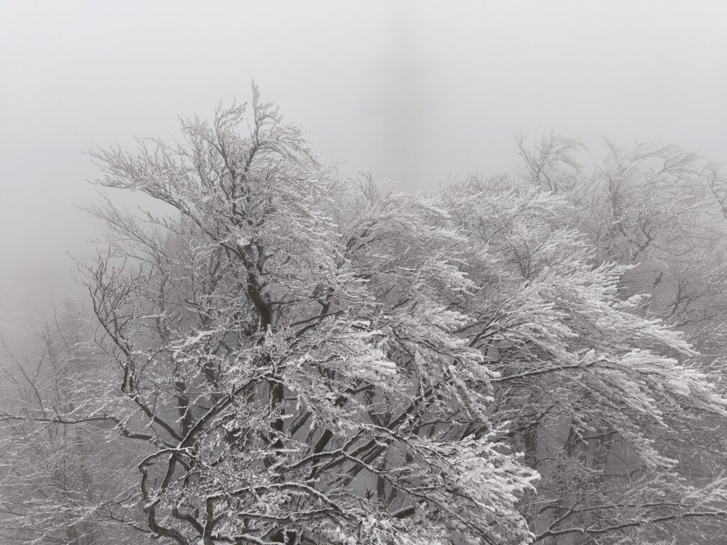 Vyhliadková veža Bardejov