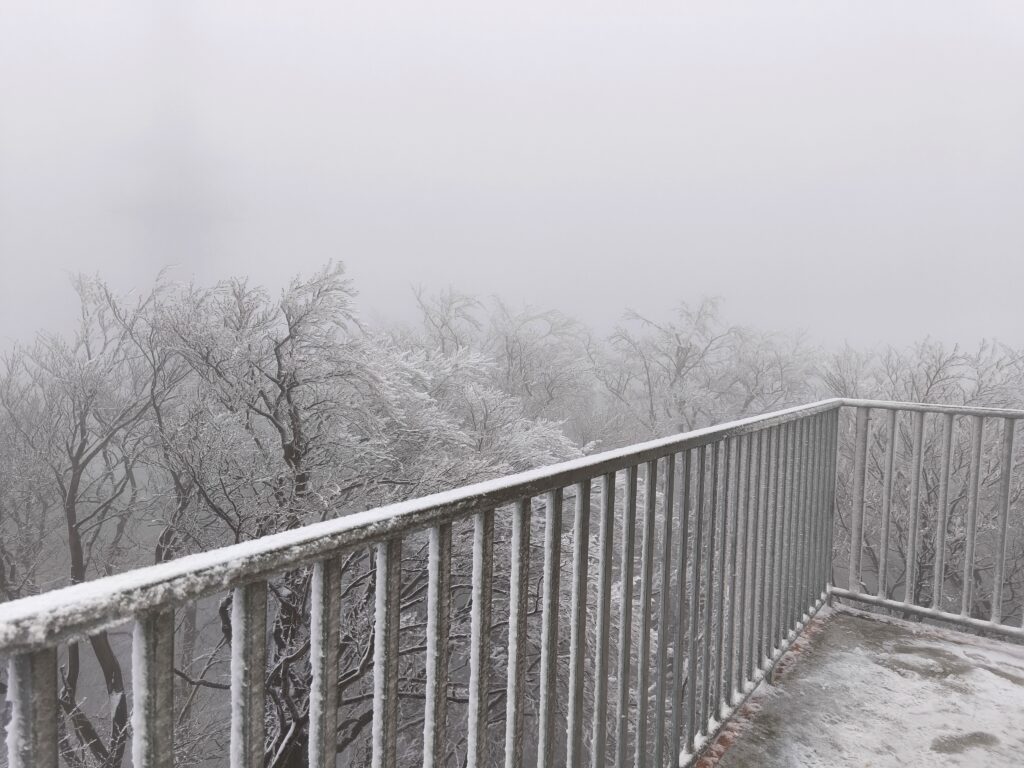 Vyhliadková veža Bardejov