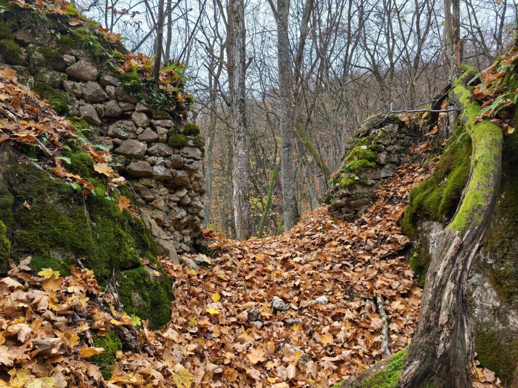 Hrad Sokolí kameň