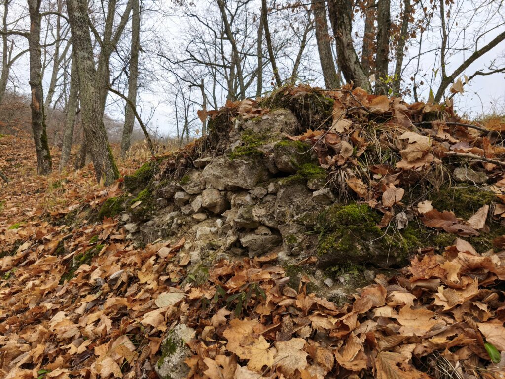 Hrad Sokolí kameň