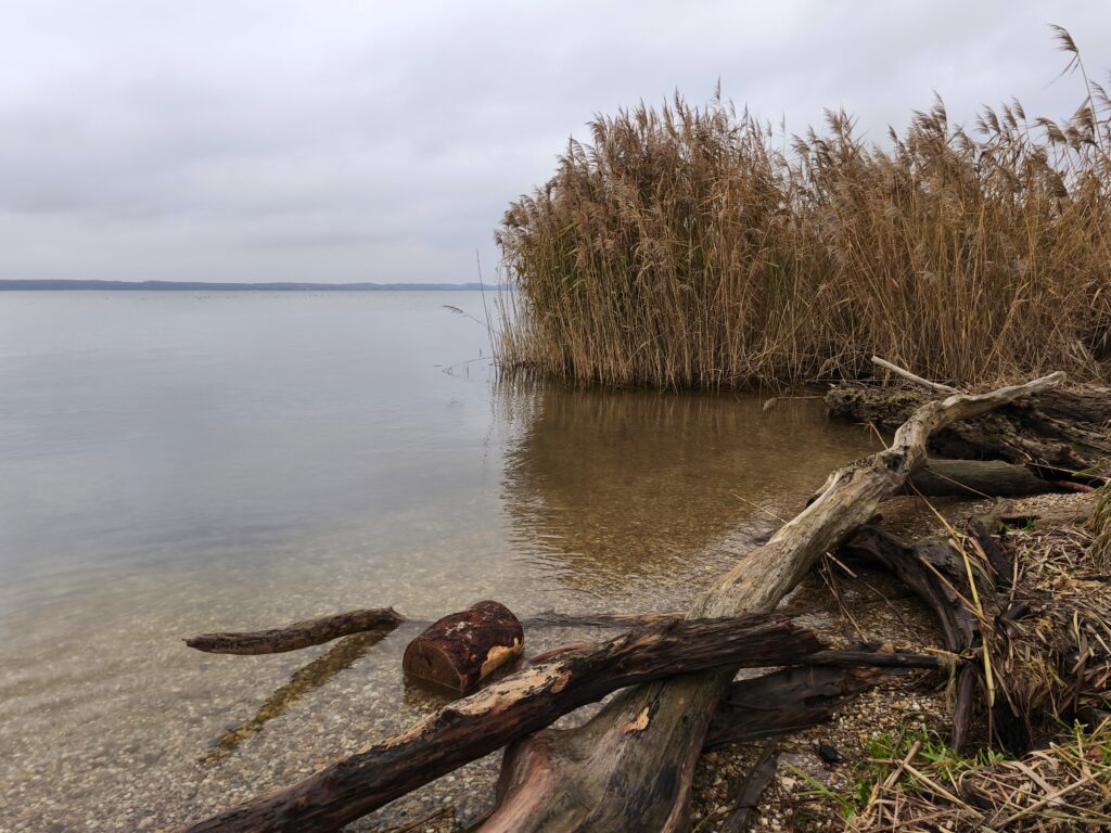 Pozorovateľňa vtáctva DUNA