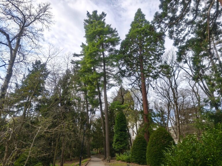 Botanická záhrada Banská Štiavnica
