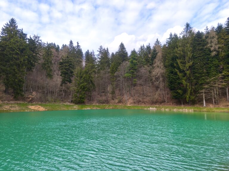 Tajch Veľká Vodárenská
