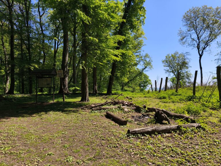 Hradisko Zámčisko nad obcou Unín
